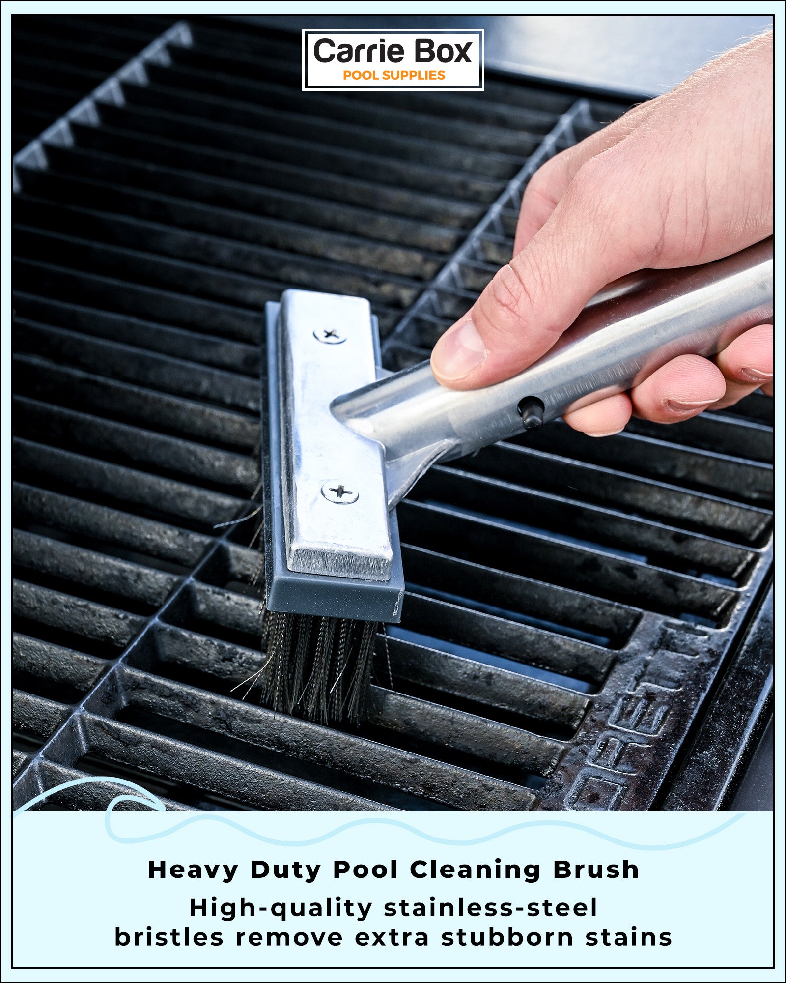 Carrie Box 5-Inch Heavy Duty Pool Brush With Premium Steel Bristles
