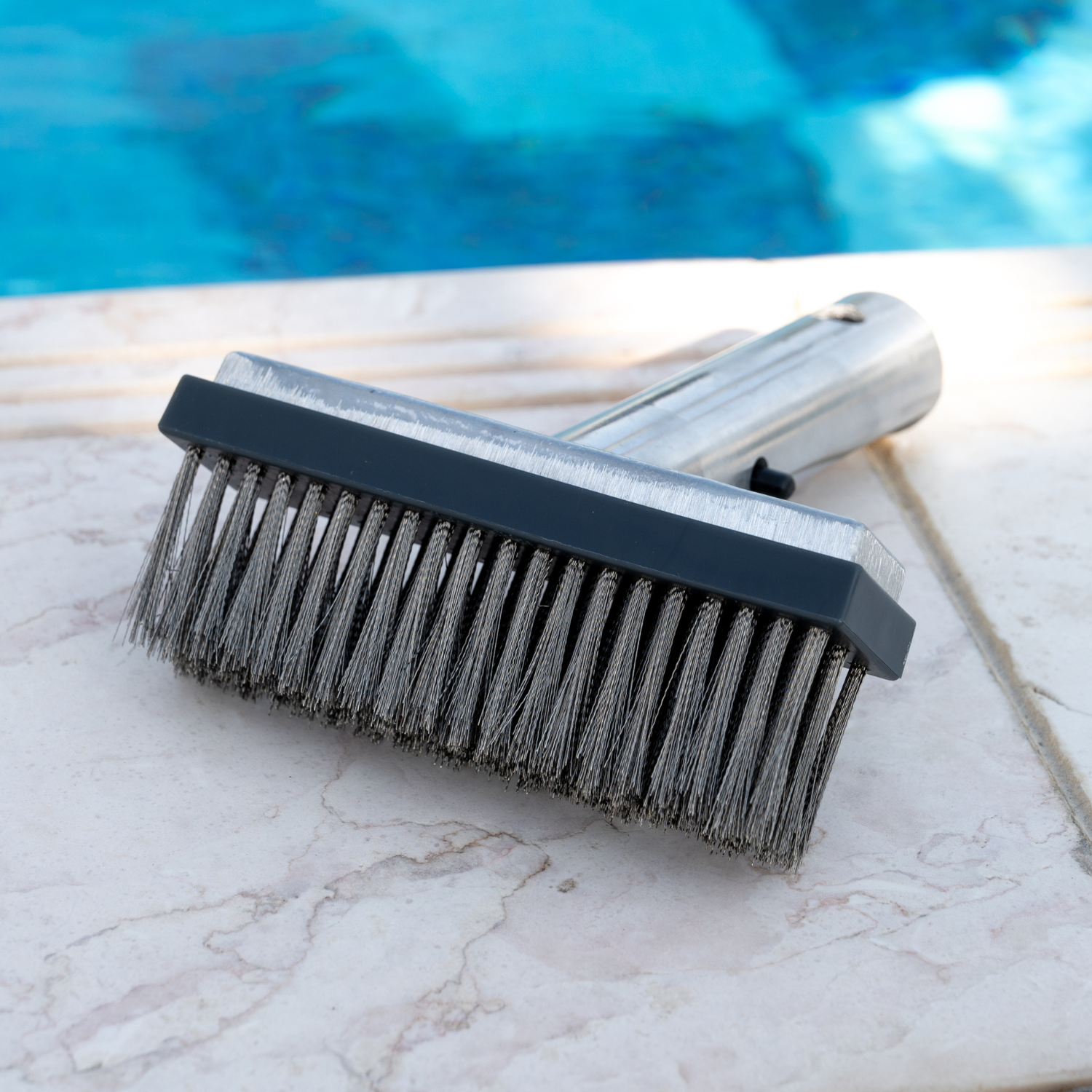 Carrie Box 5-Inch Heavy Duty Pool Brush With Premium Steel Bristles